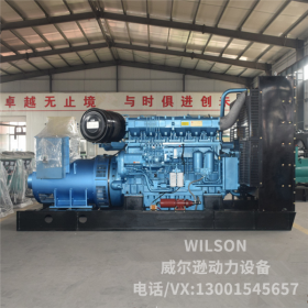 濰柴博杜安500kw柴油發電機組